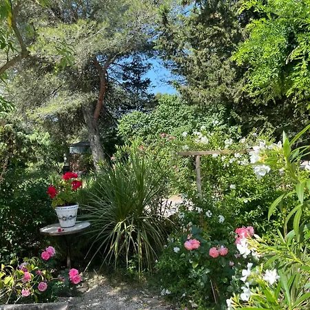Le Mazet En Ete En Garrigue Nimoise Et Parking Casa de hóspedes Nîmes