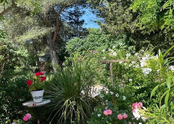 Le Mazet En Ete En Garrigue Nimoise Et Parking Гостевой дом Ним